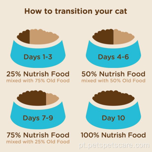 Alimentos para gatos secos nutrientes nutrientes internos e internos premium seco